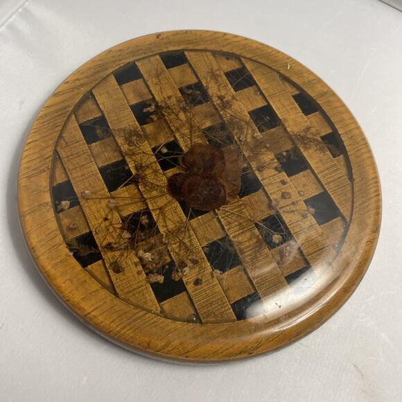 Vintage Acrylic Resin Hotplate Trivet Footed Dried Pressed Flower 8" MCM Lucite - Picture 1 of 5